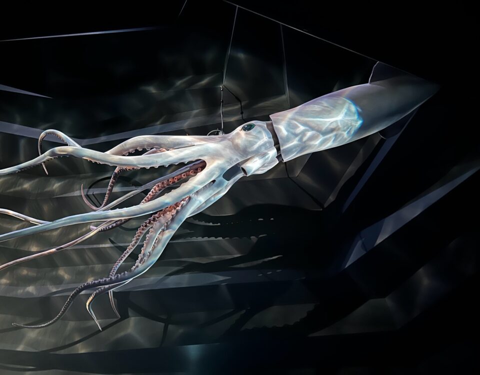 naturalis2